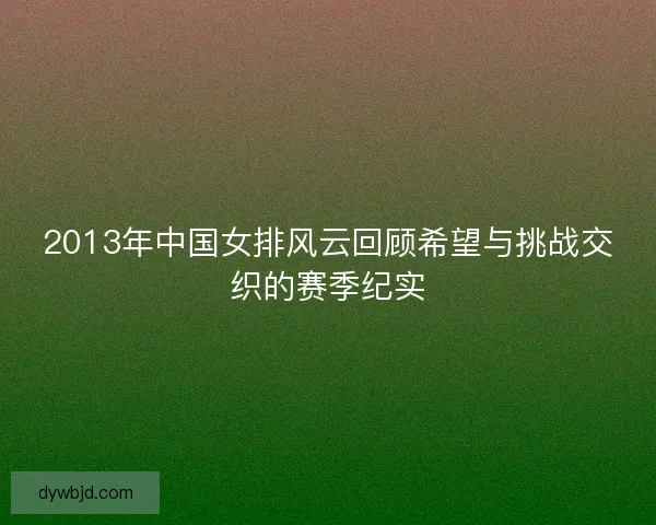 2013年中国女排风云回顾希望与挑战交织的赛季纪实